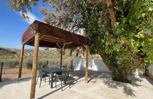 Cortijo El Nevazo - Foto 32