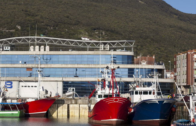 Visita guiada por Santoña - Foto 5