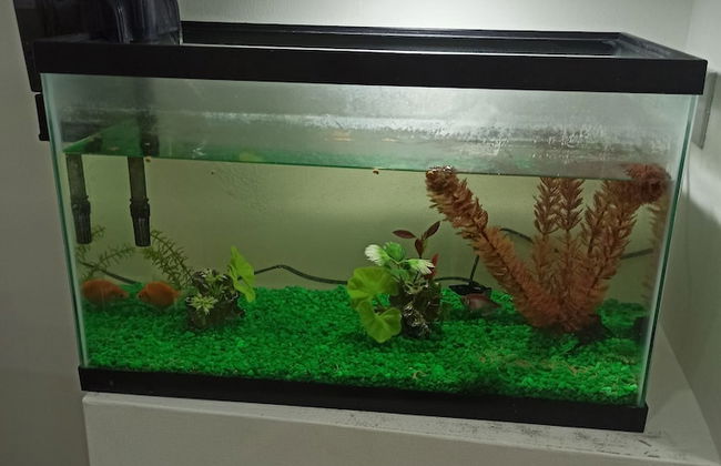 Luxurious Apartment 4to Level With Security Camera - Foto 35