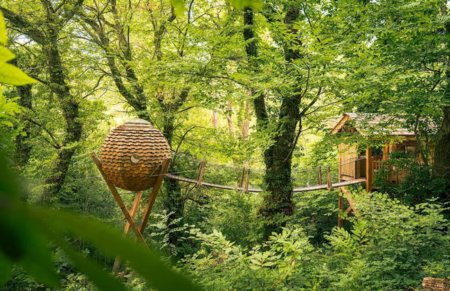 Domaine des Étoiles - Photo 36