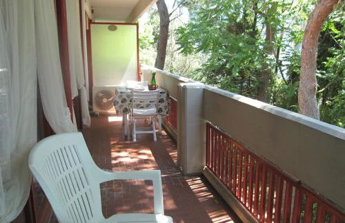 Appartamento Pineta Marina - Foto 13