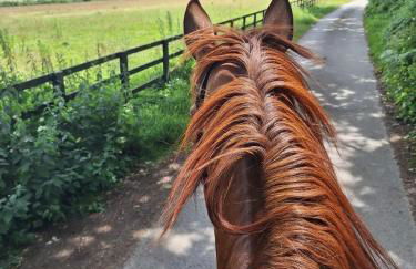 Well-equipped Apartment at Westerlands Farm - Foto 39