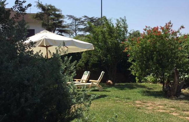 Il Tulipano Rosso - Foto 30