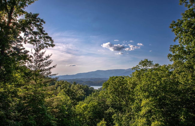 Luxury 3 2 5 Cabin Lake Views Theatre Gameroom - Foto 56