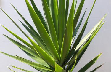 Little Gem with Private Hot Tub - Up to 25 percent off ferry - Foto 23