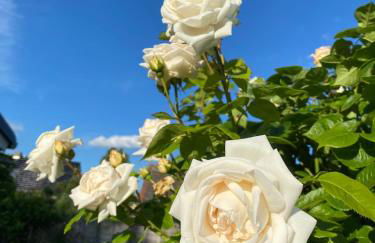 Ferienhäuschen in Beetz - in 5 min am See und Wald - Foto 16
