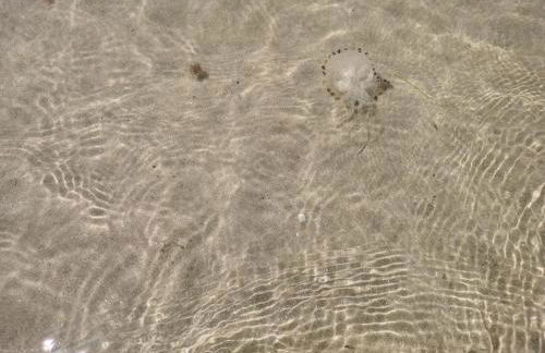 Snowdonia Sunbeach Holiday Sea and Mountain view - Photo 23