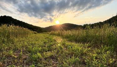 River's Edge at Three Suns Cabins - Foto 2, Other