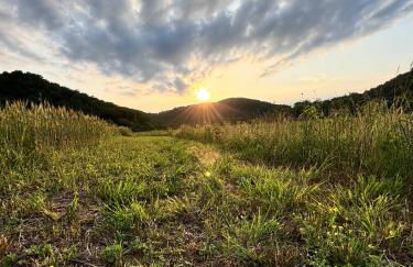 River's Edge at Three Suns Cabins - Foto 2