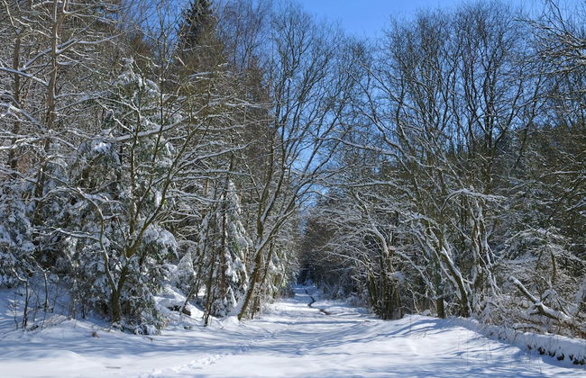 Holiday Home in Vielsalm With Lake View - Foto 57