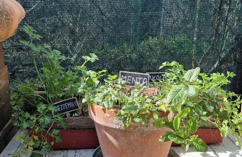 La casetta di Flo - Foto 68