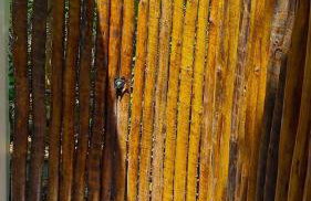 Libélula Eco Loft - Foto 46