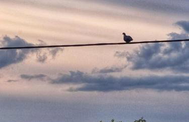 Sunset Gable - Foto 16