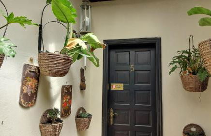 Aptos Monasterio de San Antonio 5 - Foto 9