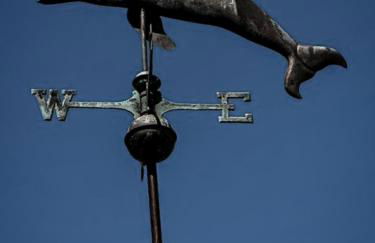 L'Olivier de Milou - Foto 58