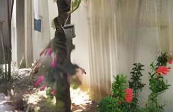 Casa de Temporada Guriri com Piscina - Cod 17 - Foto 37