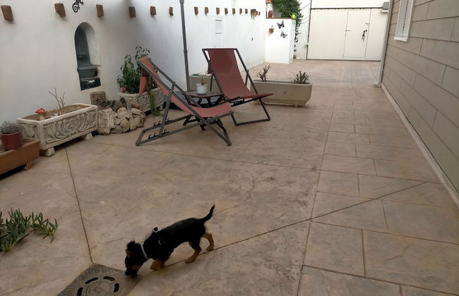 Azafrán Consuegra Casa Rural - Foto 40