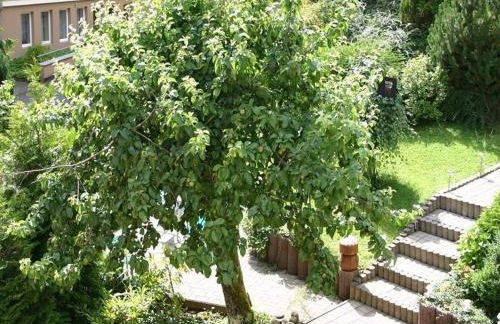 Haus-Kummeleck-Wohnung-1 - Foto 9