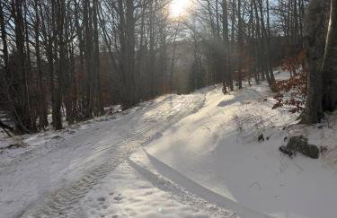 The Magic Forest - Holiday Home & Spa Zone Platak - Foto 36