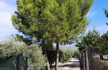 Casa rural miralmonte - Foto 45