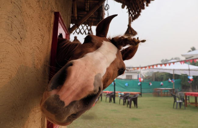 Tuk Tuk Gilhari Noida - Foto 68