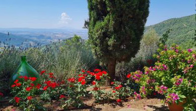 COPPA DI SOPRA - Beautiful villa with swimming pool and superb view - Foto 2, Garden
