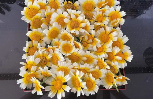 Little Linney - Sleeps 2 - Garden - Wifi - Parking - Photo 70