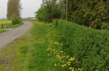 Apartments zum Brauergang - Foto 17