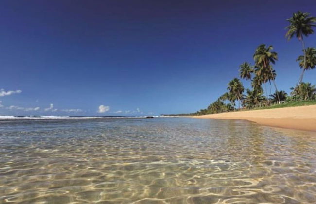 Porto Beach Resort - Marulhos - Photo 42