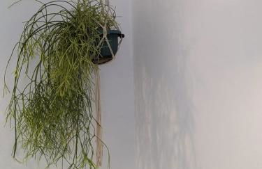 Entire villa hosted by Noam - Foto 31