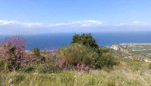 Altheas Maisonettes - Foto 4