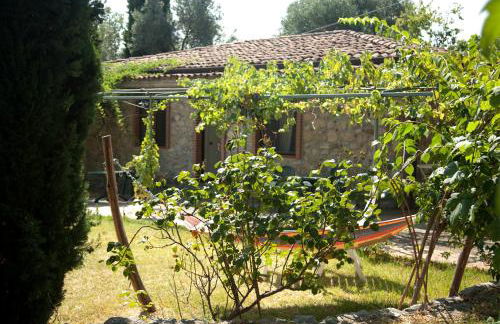 Pie' d'Ulivo - Foto 78