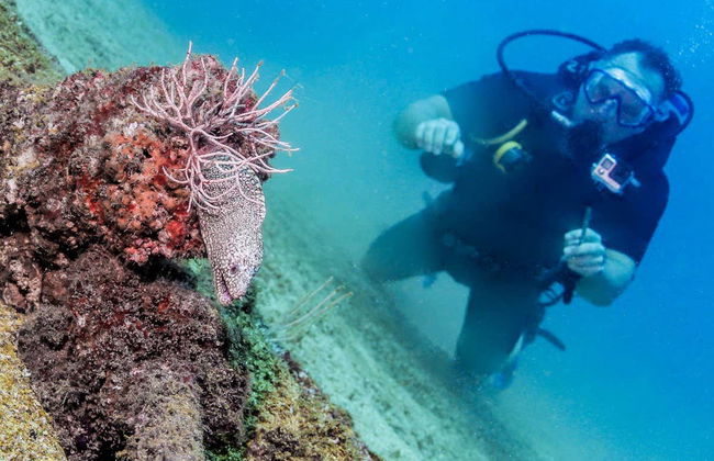 Las Caletas Scuba Diving Introduction - Foto 7