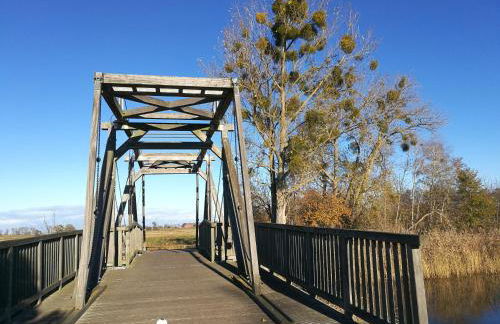 FEWO "Hafenblick" - Foto 69