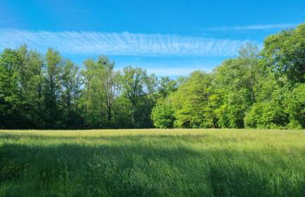 Ferienwohnung Erbachstraße - Foto 17