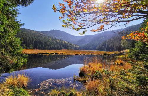 F&F Apartment - Foto 50