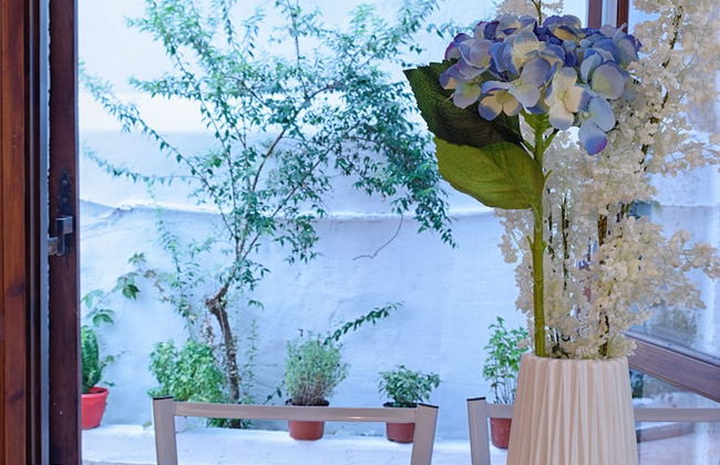 Sunrise Stef - Foto 9