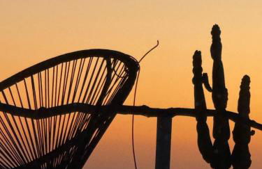 Paraíso en zahara - Foto 13