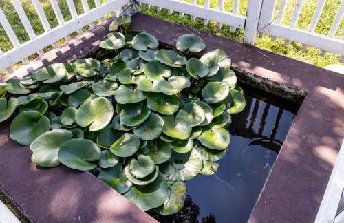 Farm living at it's best! - Foto 44