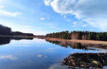 Ranczo Czerwony Młyn & Spa - Foto 6