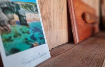 Lodge Terre de Glisse - Foto 30