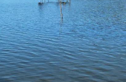 La cave à Papé - Foto 17