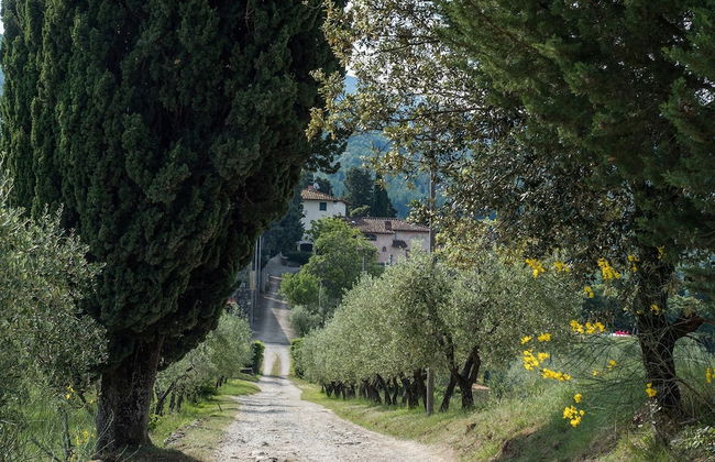 Holiday Home in Chianti With Pool & Sauna - Foto 25