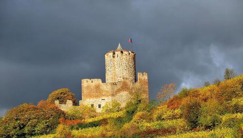 Gite du Vignoble - Foto 5