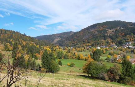 Daheim im Geissetal - Foto 31