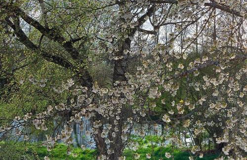 Landpartie - Foto 24