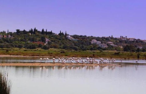 Casa Estrelita, Quinta da Felicidade, Praia dos Salgados - Foto 13