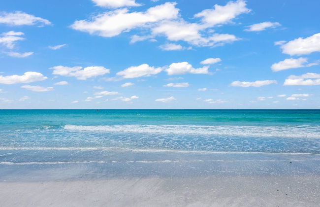 Kingston Arms Modern 1BR On Lido Key - Foto 34