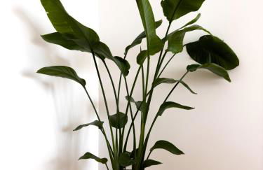 Vibrant Porto Apartments-Bonfim - Foto 61