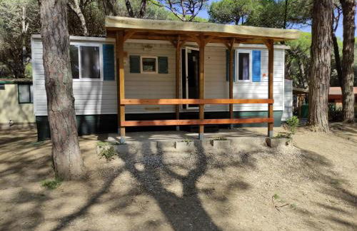 Mipro Mobilhome 5 - Foto 4